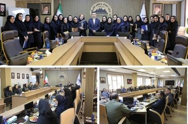 پروژه الکترود گرافیتی اردکان افتتاح شد 