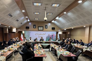 تقدیر مدیرعامل بیمه البرز از مدیران برجسته در حادثه بندر شهید رجایی