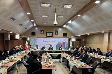 تقدیر مدیرعامل بیمه البرز از مدیران برجسته در حادثه بندر شهید رجایی
