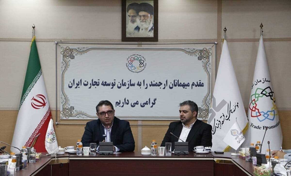 توسعه تجارت الکترونیک فرامرزی از الزامات موفقیت صنایع خلاق/ ظرفیت بالای صادرات خدمات فرهنگی و دانش‌بنیان ایران