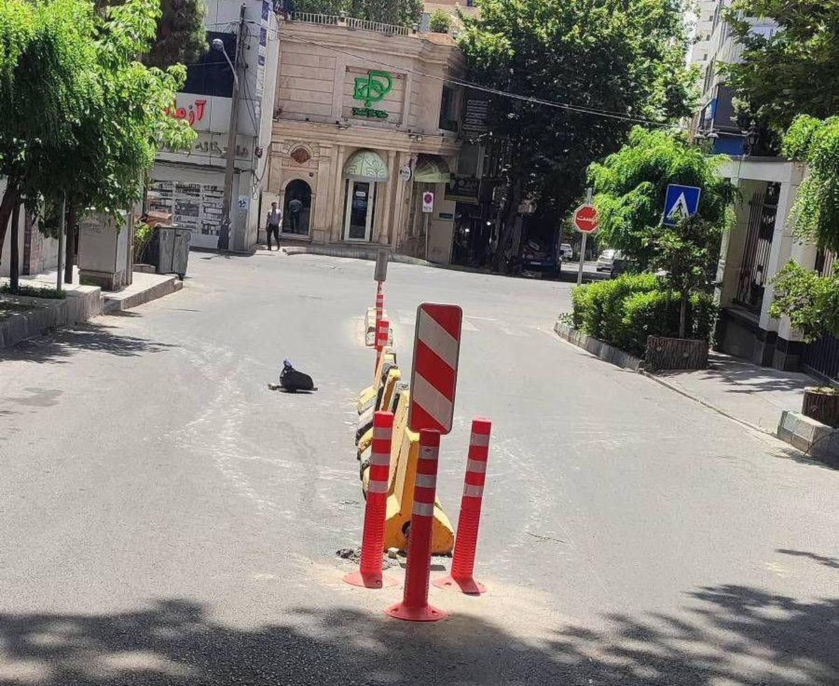 اجرای فوری ۵ مصوبه ترافیکی برای کاهش تصادفات در منطقه یک