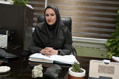 استفاده از توانمندی بخش خصوصی در توسعه اکتشافات از اهداف مهم ایمپاسکو است