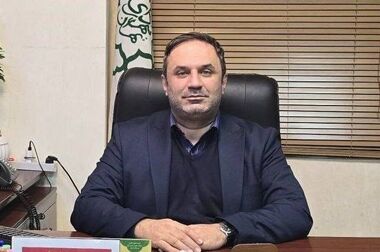 تداوم توسعه سبز در سایه پایداری