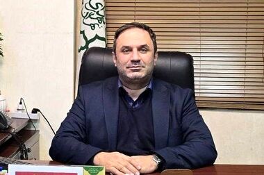 تداوم توسعه سبز در سایه پایداری