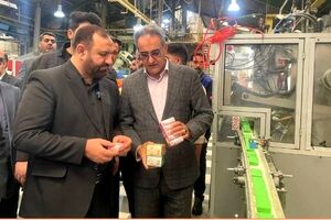 حمایت دادستانی تهران از تولیدکنندگان / بازدید دادستان از پاکسان برای رفع موانع ارزی و ترخیص کالا
