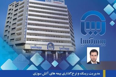 تاکید بر سودآوری شعب و توسعه فروش برخط در بیمه آسیا