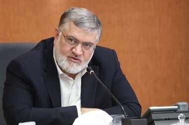 حدود ۸۰ درصد گرانی کالاهای اساسی ناشی از حذف ارز ترجیحی است/ مافیای نهاده‌های دامی دوباره وارد عمل شده‌اند