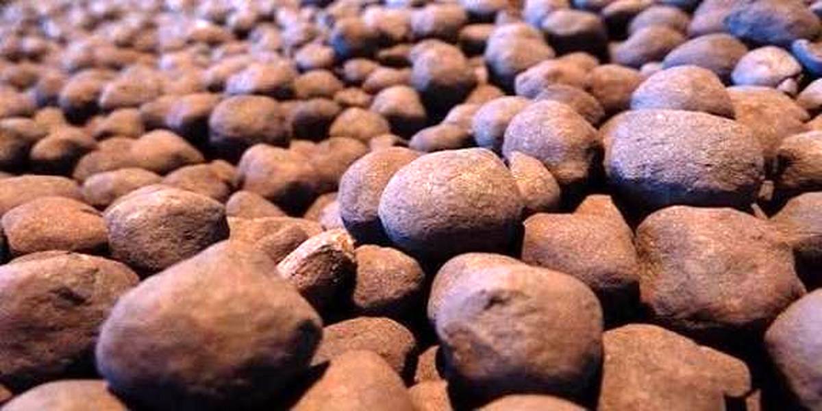  شیوه فروش گندله و قیمت‌سازی برخی شرکتها در بورس کالا