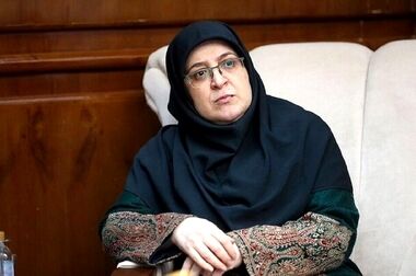 دولت از افزایش قیمت دلار دفاع نمی‌کند