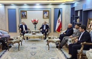 همکاری‌های دارویی شستا با اقلیم کردستان عراق گسترش می‌یابد