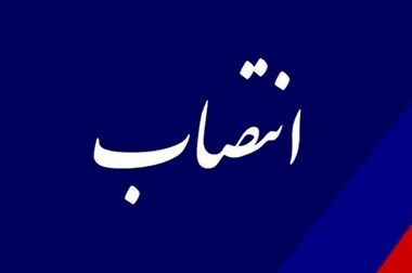 مشوق‌های مالیاتی، شرکت‌های دانش‌بنیان را موتور محرکه نوآوری در صنعت پتروشیمی می‌کند