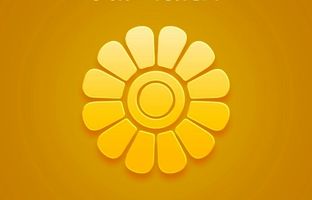 اعتماد بیمه گذاران سرمایه بیمه پاسارگاد