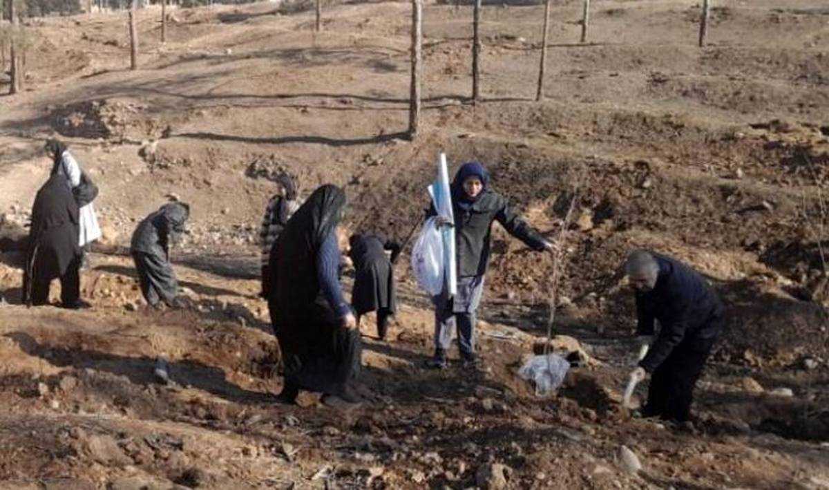 افزایش سرانه فضای سبز بوستان فرامنطقه‌ای سرخه‌حصار