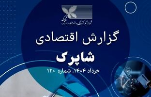 رشد چشمگیر تراکنش‌های شبکه پرداخت شاپرک در خرداد ۱۴۰۴ 