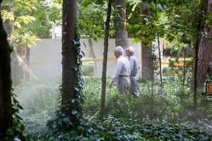 مرحله سوم تسهیلات قرض‌الحسنه بازنشستگان سازمان تأمین اجتماعی واریز شد