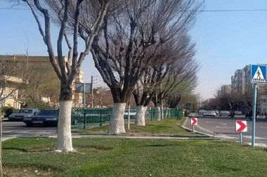 احداث پهلوگاه اضطراری در حاشیه بزرگراه شهید چمران
