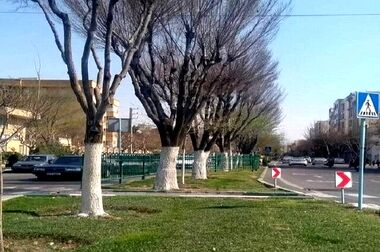 احداث و ساماندهی سرویس بهداشتی بوستان‌های منطقه ۲