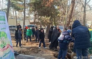 کاشت ۶۰۰ درخت با مشارکت دانش‌آموزان منطقه یک در پویش نهضت درختکاری