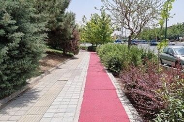 زیباسازی منظر شهری بلوار قیصر امین پور