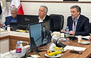 راهبردهای ارتقا شاخص های عملکردی در بانک ملی ایران زیر ذره بین مدیران