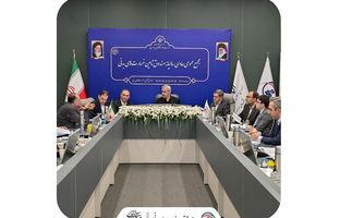 صورت‌های مالی و عملکرد ۱۴۰۳ صندوق تامین خسارت‌های بدنی تصویب شد