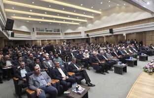 امامی: توسعه اکتشافات و تکمیل زنجیره ارزش ایجاد افق‌های جدید سرمایه‌گذاری در کرمان است