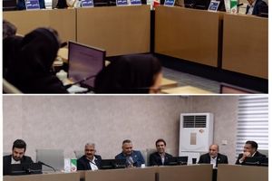 افزایش ۵۰ درصدی سود خالص اروند/ ثبت رکورد بی‌سابقه فروش غول PVC غرب آسیا در سال ۱۴۰۳