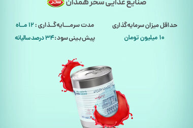 سهم 21 درصدی سکوی آی‌بی‌کراد از بازار تأمین مالی جمعی در نیمه نخست 1403