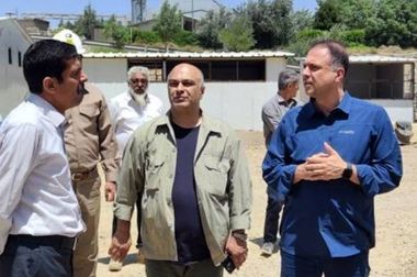 بازسازی، توسعه معدن، آموزش و زیرساخت؛ چهار محور بازدید مدیرعامل شرکت مس از مجتمع سونگون