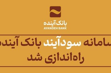 حیدری: برنامه جامع اصلاح بانک آینده به بانک مرکزی ارائه شد