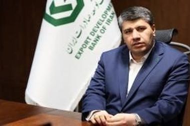 تأکید بانک توسعه صادرات ایران بر تأمین مالی جمعی
