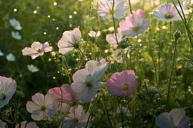 بیانیه کمیسیون افتای نصر تهران: نیاز فوری به همکاری راهبردی برای صیانت از زیرساخت‌های حیاتی کشور