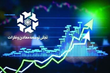 رشد ۳۰ درصدی سود شرکت‌های مدیریتی توسعه معادن و فلزات در سال ۱۴۰۳ /تصویب تقسیم سود ۱۷ تومانی هر سهم در مجمع سالیانه 
