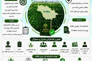 گام نهایی برای شناسنامه‌دار شدن باغات پیوسته و گسسته منطقه۵؛ هم‌افزایی مدیران برای رفع موانع شناسایی