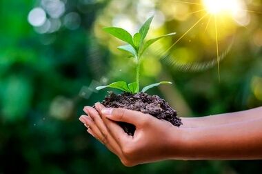 فولاد سنگان در مسیر کاهش مصرف انرژی