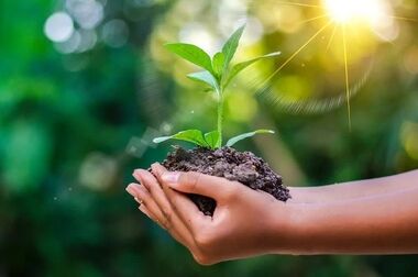 تحولات توسعه‌ای با تمرکز بر انرژی‌های تجدیدپذیر و زیرساخت‌های پایدار