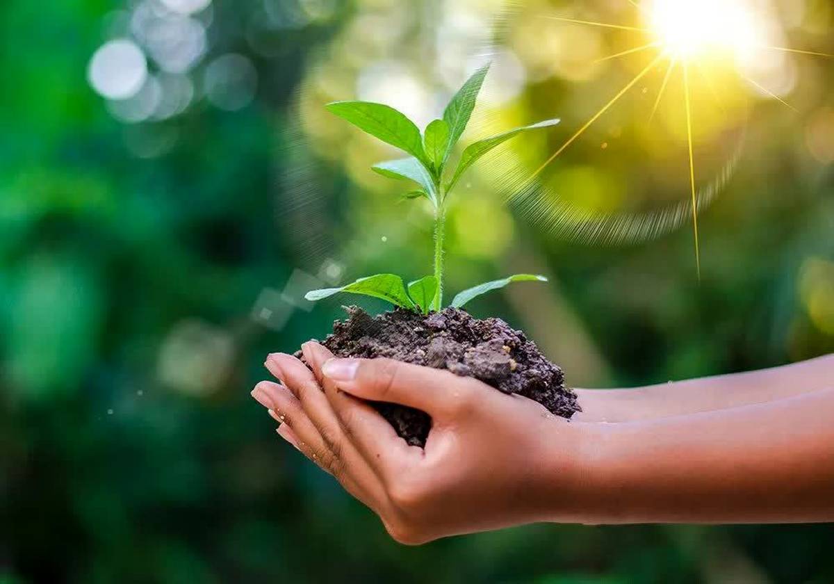  امضای خاص فولاد سنگان در اقدامات محیط زیستی