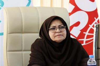 دیپلماسی استاندارد، پشتوانه ای برای تحقق اقتدار ملی در عرصه جهانی است