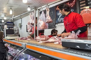 واردات گوشت راهکار تنظیم بازار نیست/ نظارت بر توزیع تقویت شود